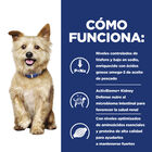 Hill’s Prescription Diet Kidney Care k/d Pollo y verduras en estofado lata para perros, , large image number null